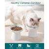 vancasso Elevated Cat Food Bowls 2-Pack, 6.2″ Wide Shallow Cat Feeding Bowl for Whisker Fatigue, 5.1″ Height Ceramic Raised Food Bowls for Senior Cats, Anti Vomit, White(White)
