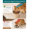 vancasso Elevated Cat Food Bowls 2-Pack, 6.2″ Wide Shallow Cat Feeding Bowl for Whisker Fatigue, 5.1″ Height Ceramic Raised Food Bowls for Senior Cats, Anti Vomit, White(Brown-Food 2-pack)