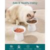 vancasso Elevated Cat Food Bowls 2-Pack, 6.2″ Wide Shallow Cat Feeding Bowl for Whisker Fatigue, 5.1″ Height Ceramic Raised Food Bowls for Senior Cats, Anti Vomit, White(White-Food 2-pack)