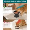 vancasso Elevated Cat Food Bowls 2-Pack, 6.2″ Wide Shallow Cat Feeding Bowl for Whisker Fatigue, 5.1″ Height Ceramic Raised Food Bowls for Senior Cats, Anti Vomit, Black