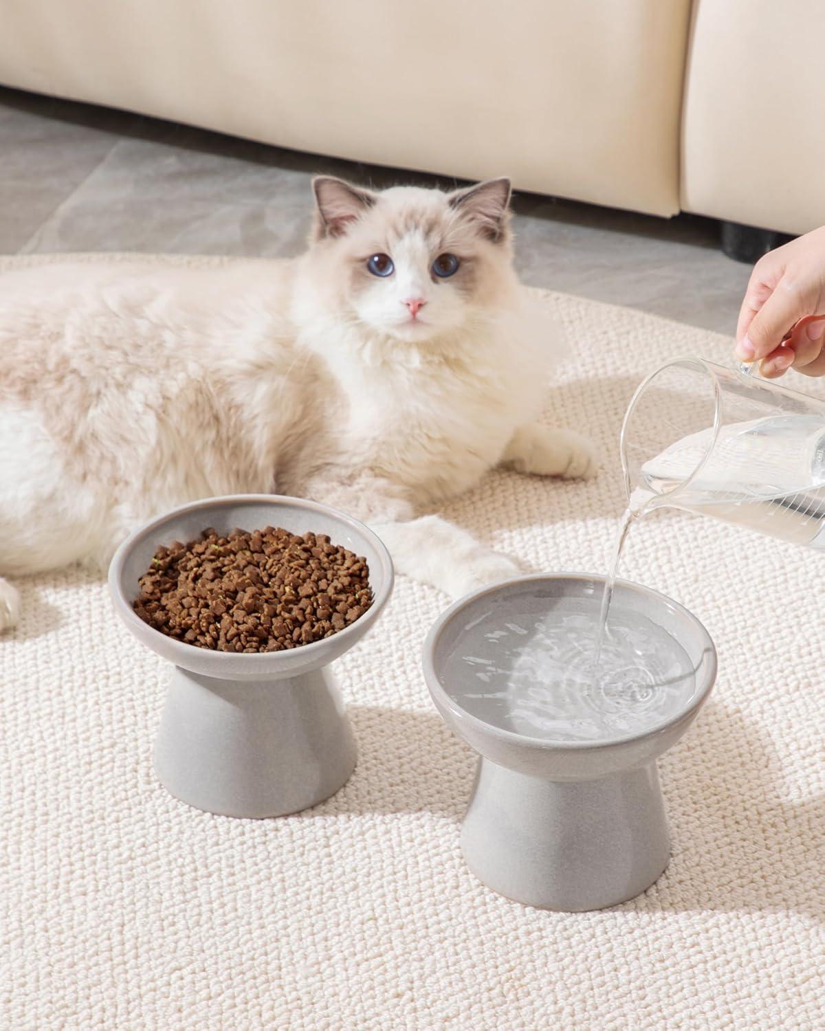 image:imagevancasso Elevated Cat Food Bowls 2Pack 62 Wide Shallow Cat Feeding Bowl for Whisker Fatigue 51 Height Ceramic Raised Food Bowls for Senior Cats Anti Vomit WhiteGrey