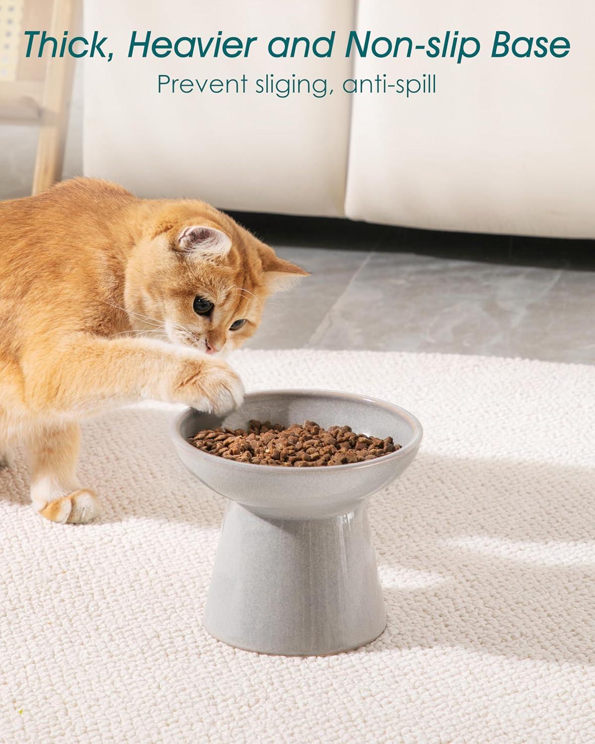 image:imagevancasso Elevated Cat Food Bowls 2Pack 62 Wide Shallow Cat Feeding Bowl for Whisker Fatigue 51 Height Ceramic Raised Food Bowls for Senior Cats Anti Vomit WhiteGrey